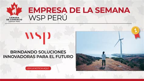 grupo de wsp peru|WSP Perú, brindando soluciones innovadoras para el。